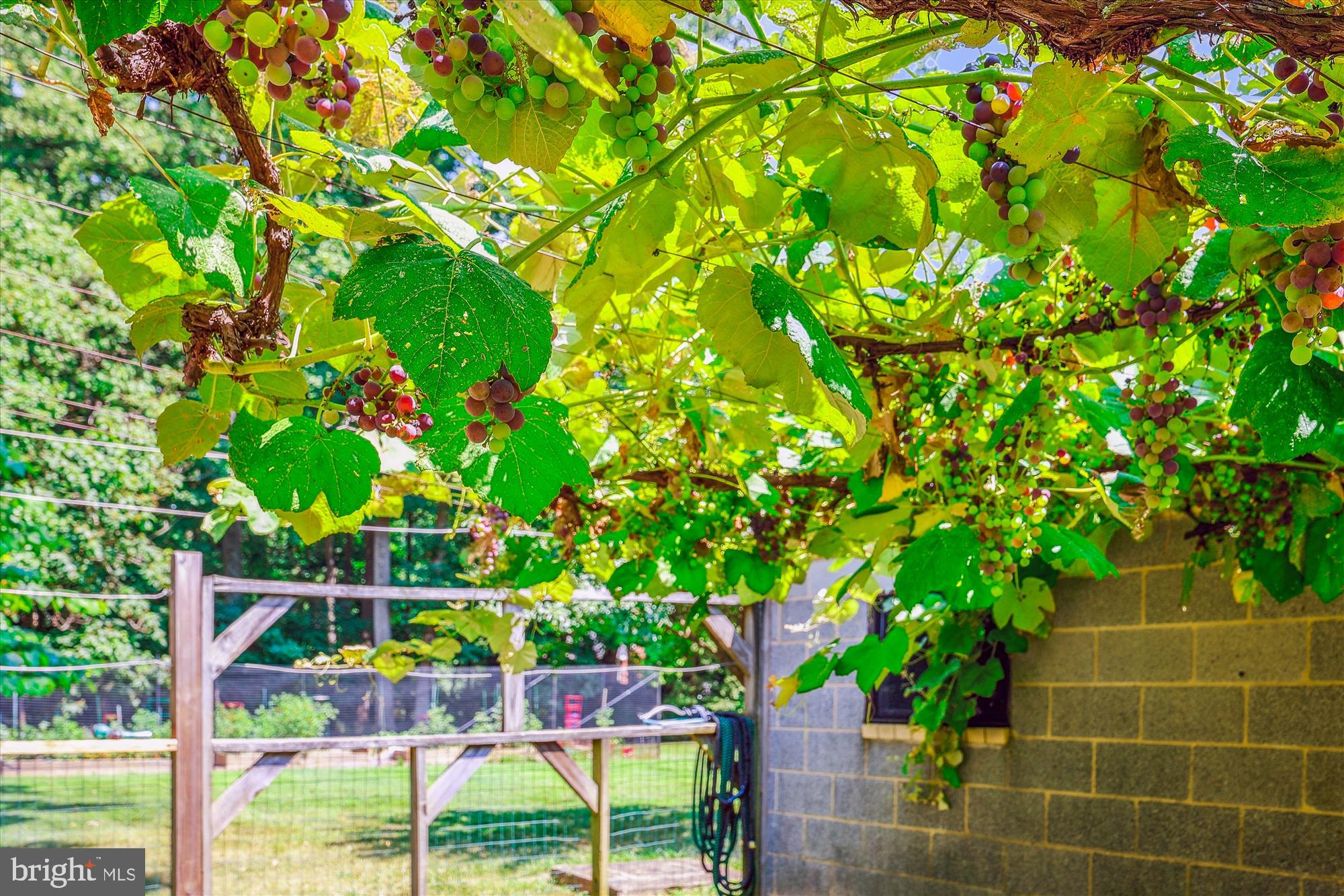 COLESVILLE FARM ESTATES - Residential