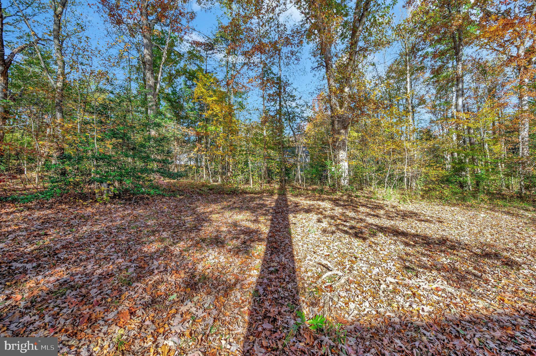 LAKE LAND OR - Residential
