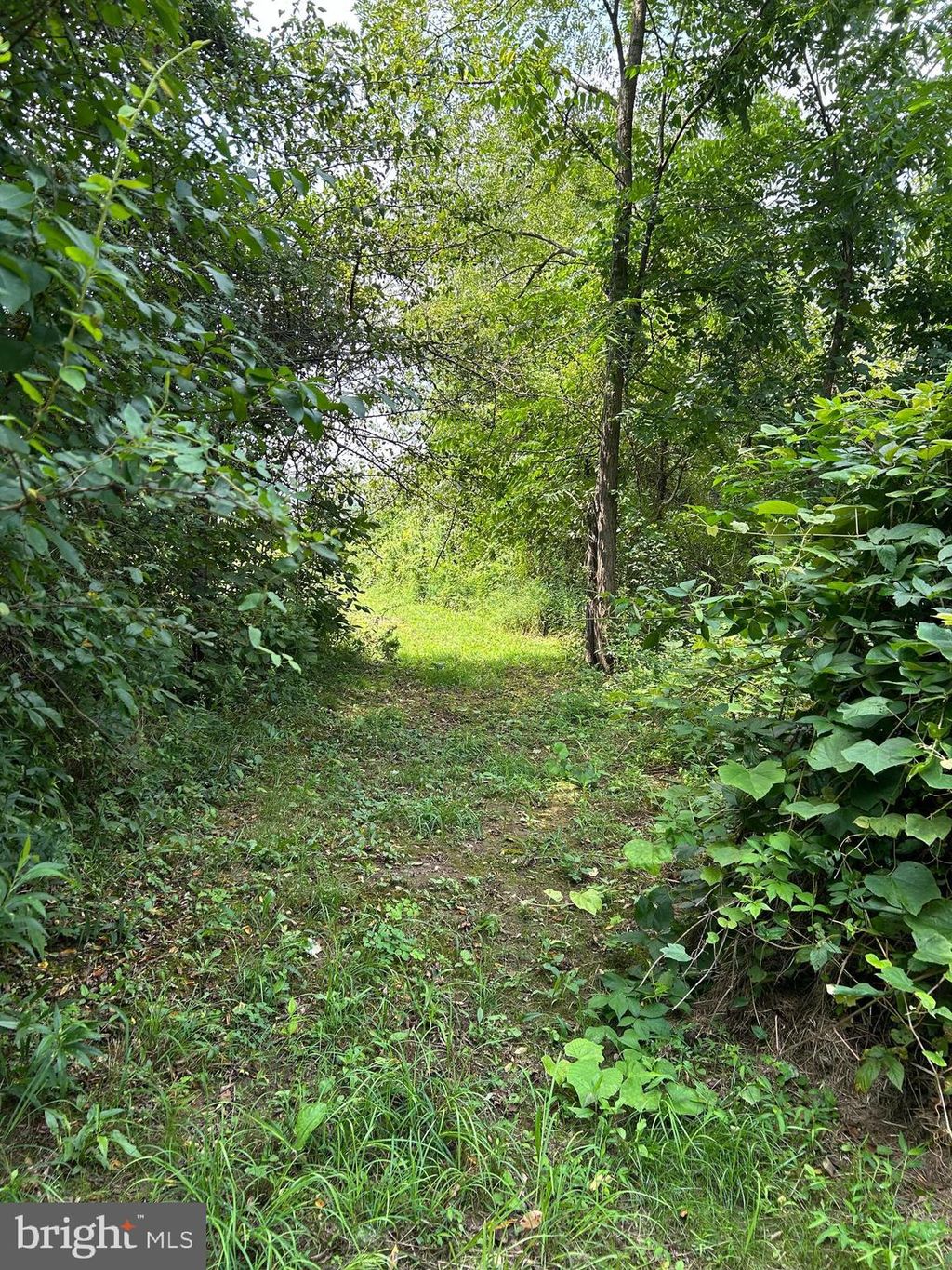Photo of 0 Upper Strasburg Road, UPPERSTRASBURG, PA 17265 (MLS # PAFL2029120)