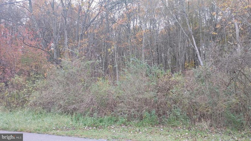 9.37 Acres – Wooded Lot in Rye Township Near Gamelands & Fishing Creek

Level, wooded 9.37-acre lot located in Rye Township, just 15 minutes from Harrisburg. Enjoy outdoor recreation with PA State Gamelands 170 and Fishing Creek, a stocked trout stream, both less than 1/4 mile away. The creek is stocked by the PA Fish Commission and Marysville Sportsmen’s Club. Great opportunity for nature lovers—ideal for hiking, biking, hunting, and fishing. Approved site plan included.