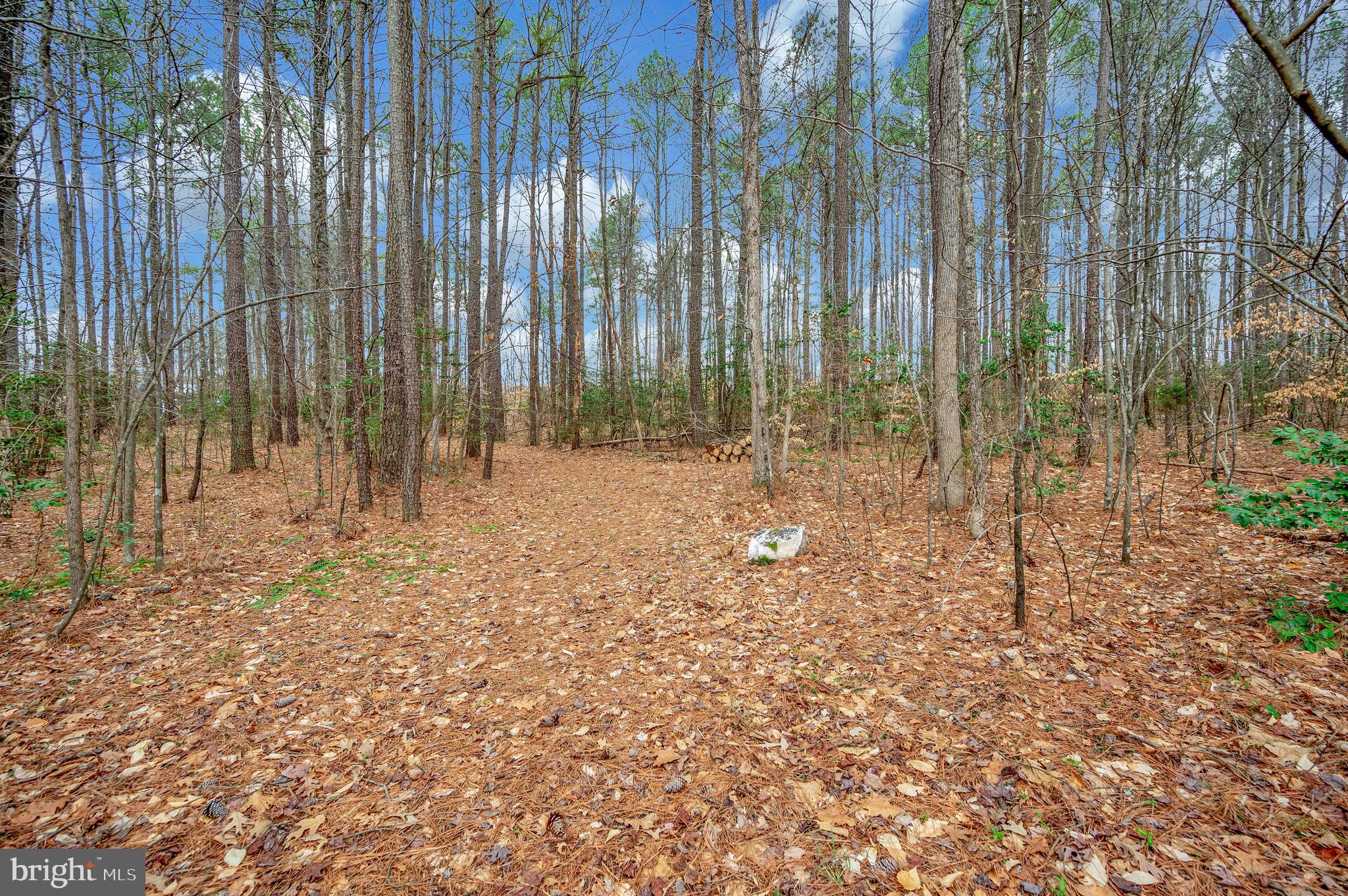 TA WOODS RUN - Residential