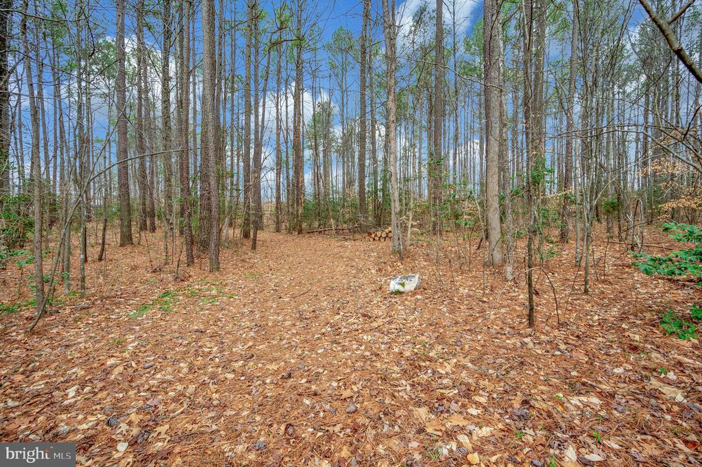 listing image 66