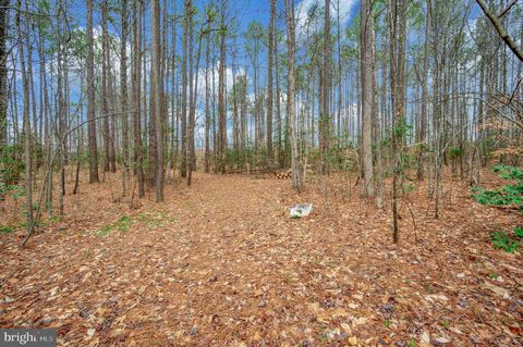 listing image 66