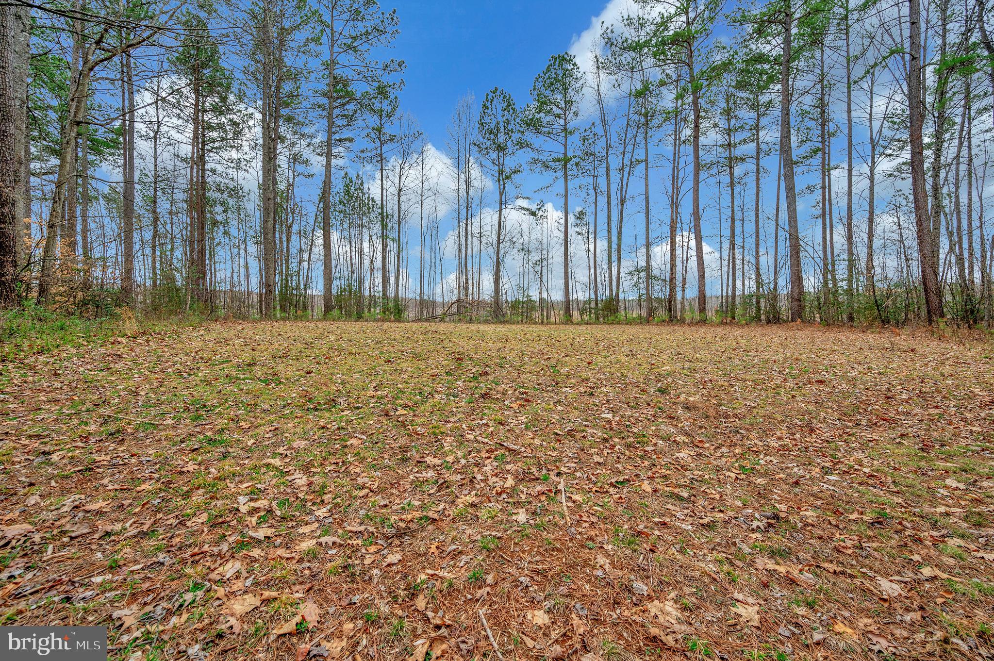 TA WOODS RUN - Residential