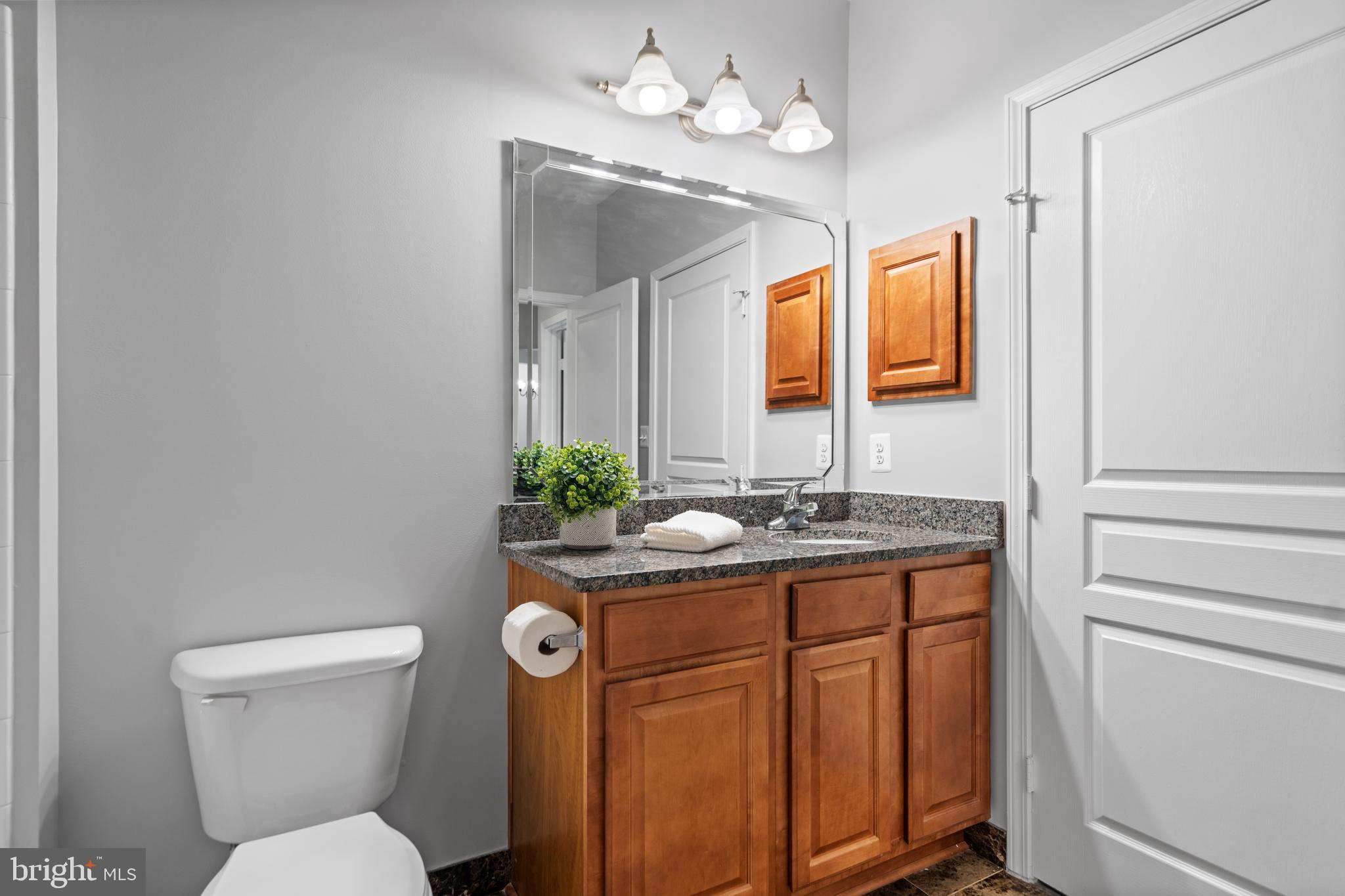 SAVOY AT RESTON TOWN CENTER - Residential