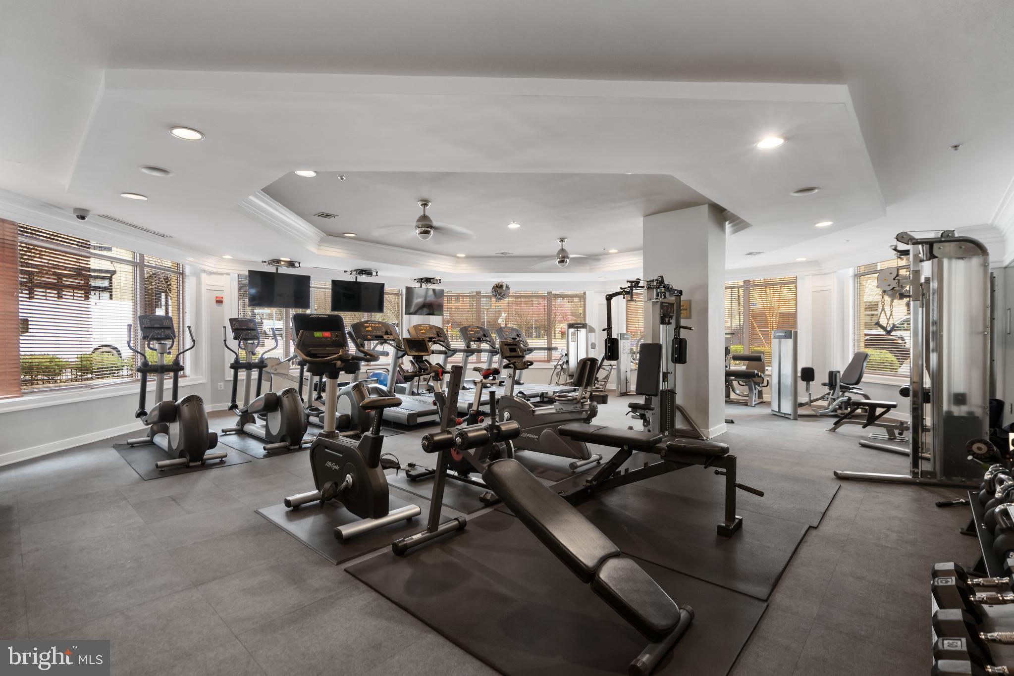 SAVOY AT RESTON TOWN CENTER - Residential