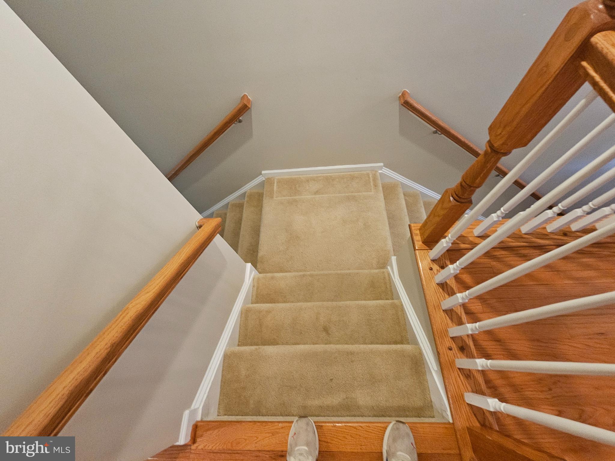 WILDEWOOD - Residential Lease