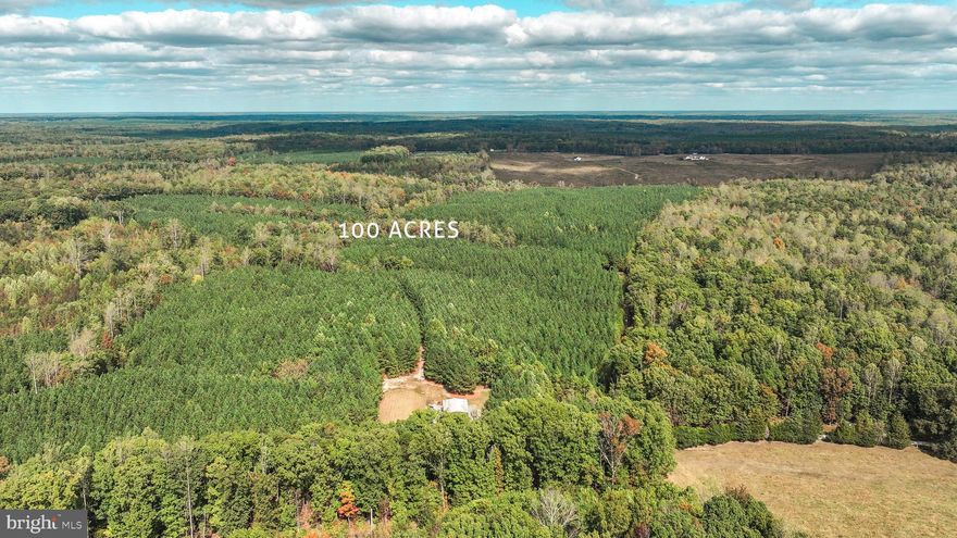 Find contentment in two adjoining parcels totaling 101 acres that feature an enchanting blend of mature woods with lightly cleared areas. Nearly 5 miles of private trails wind through the property, making it perfect for hunting, hiking, horseback riding, ATVs, and year-round recreation.  A 30x40 metal garage with dual 10x12 remote roll-up doors is ready for equipment storage, and the property already features a well,  septic, and electric.  Approximately 253 feet of road frontage on RT 522, access is easy while maintaining seclusion and privacy. Nature abounds with abundant wildlife, making this a spectacular private retreat or hunting preserve. Conveniently located near Lake Anna, Charlottesville, and Richmond, it also offers great potential as a future homesite or long-term investment with development possibilities.
Don’t miss this rare opportunity to own your own 101 acre slice of Virginia countryside.