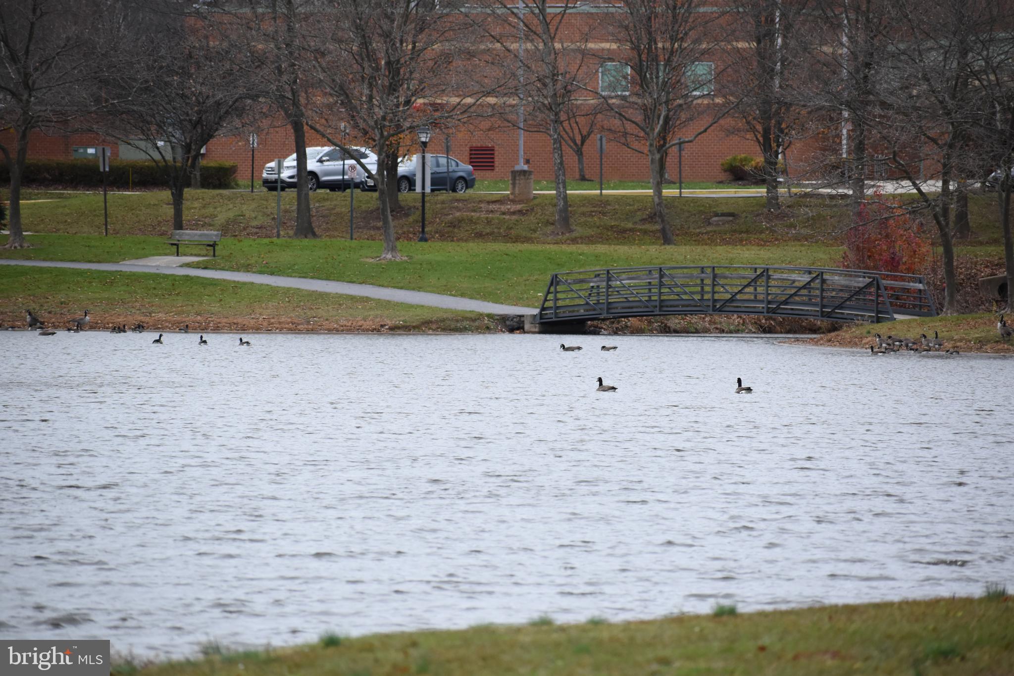WHITTIER POND - Residential