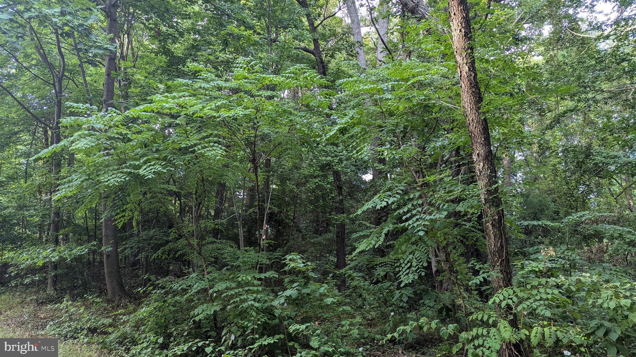 STRATFORD HARBOUR - Land