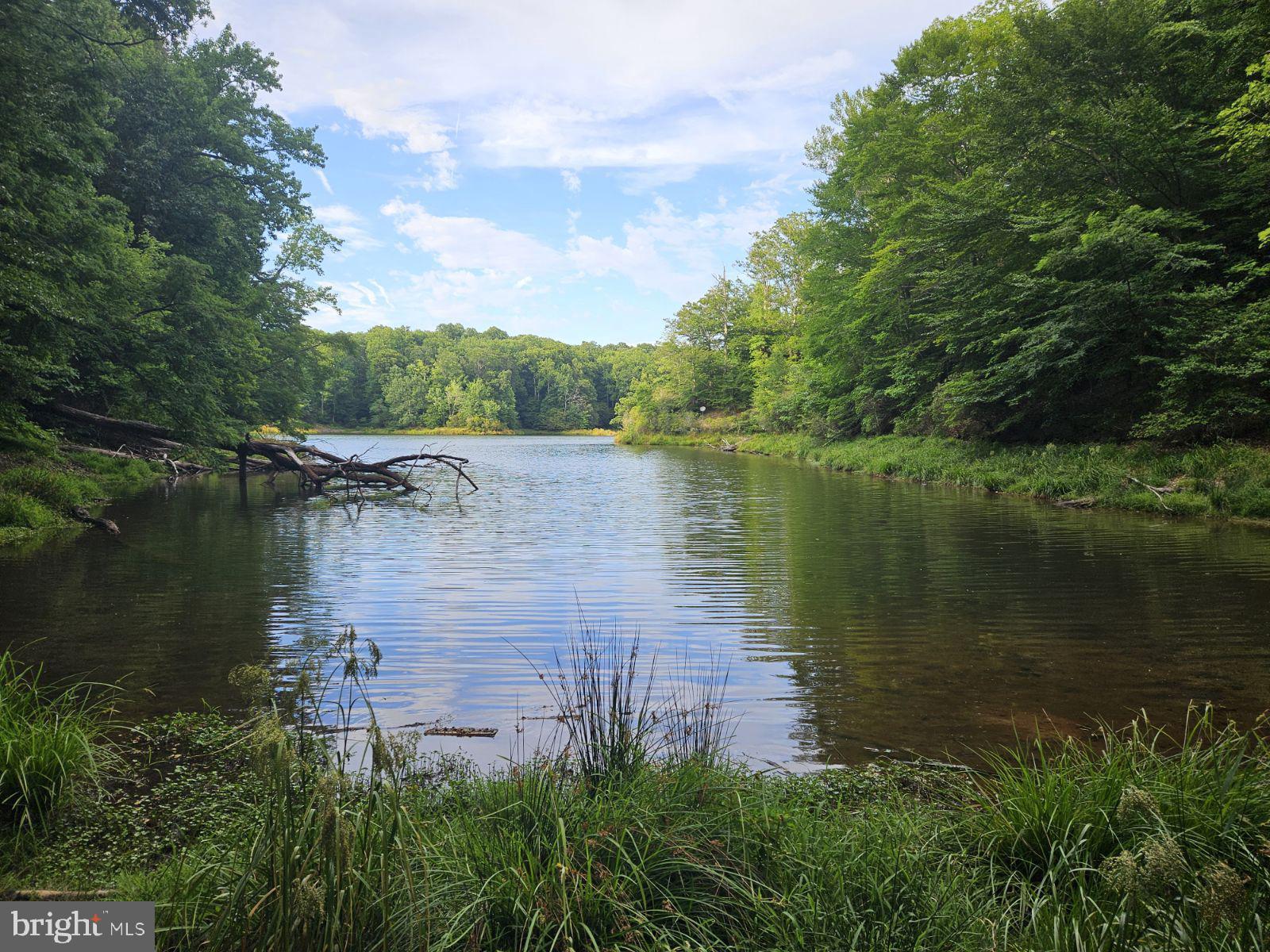 STRATFORD HARBOUR - Land