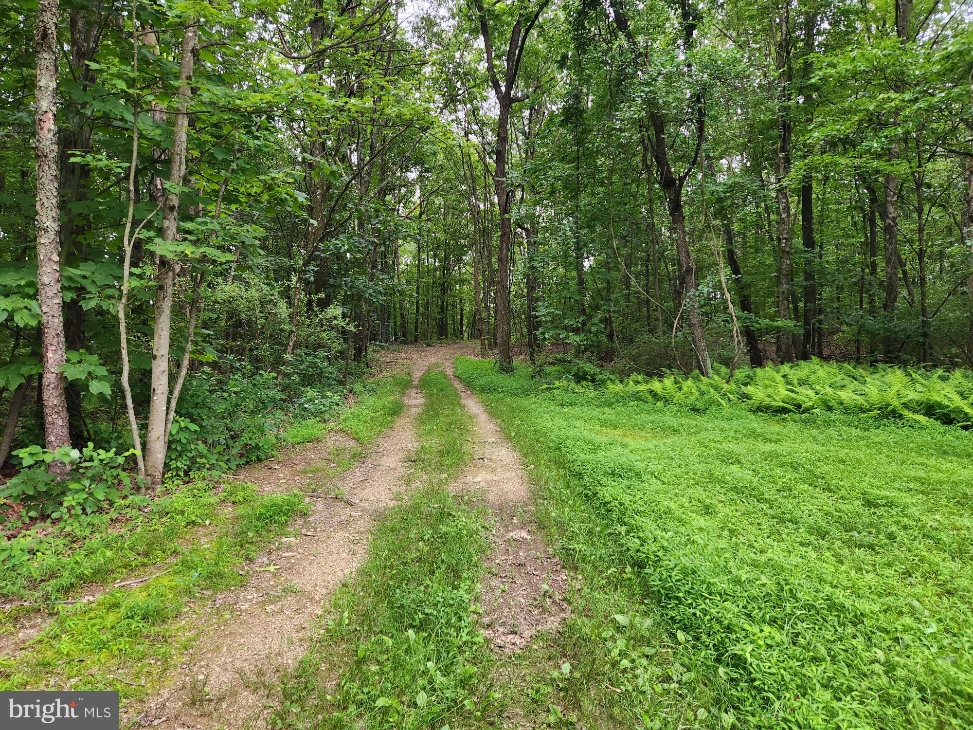 0 LOVERS LANE
