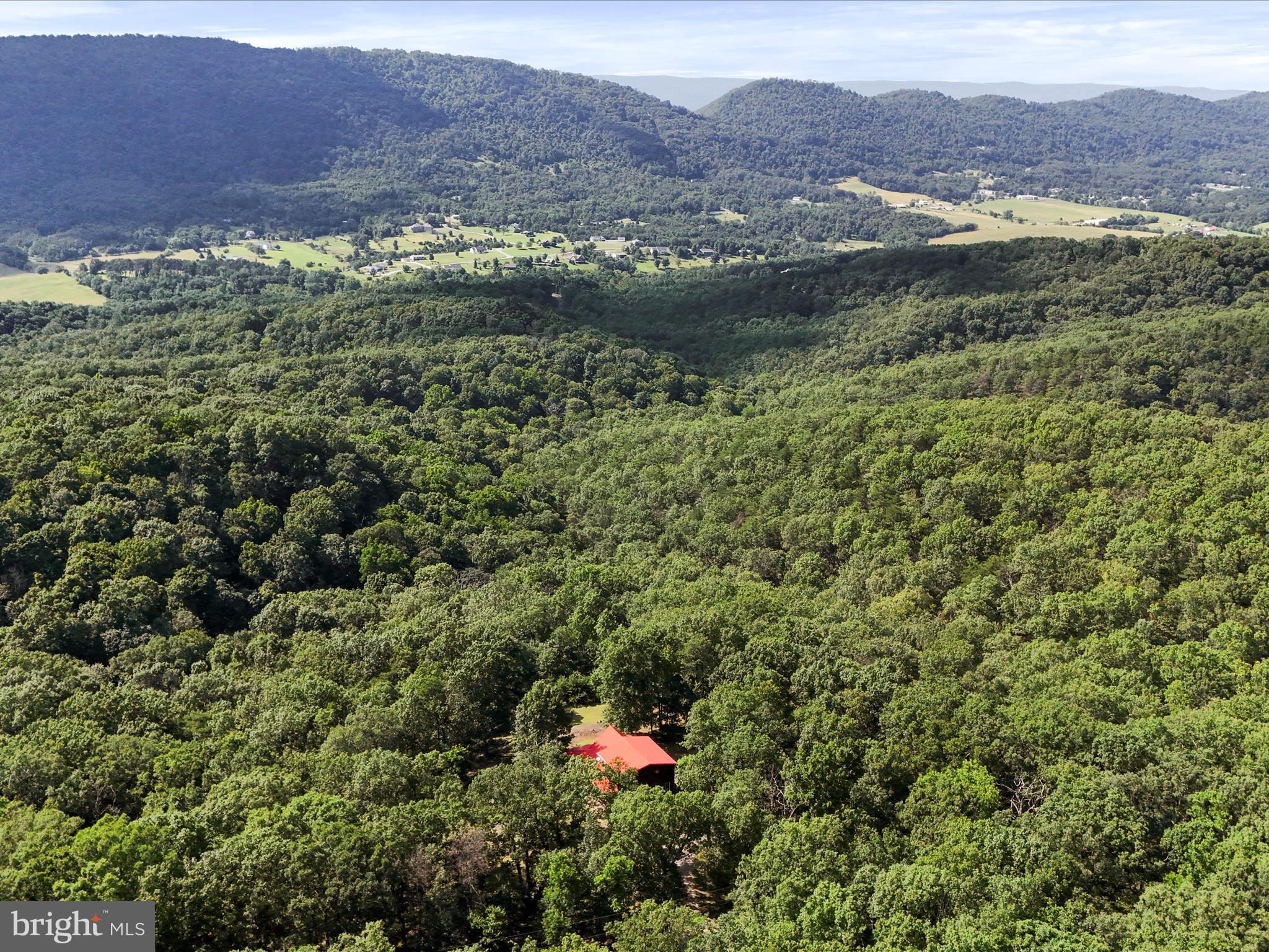 WOODS AT TAYLOR LAKE - Residential
