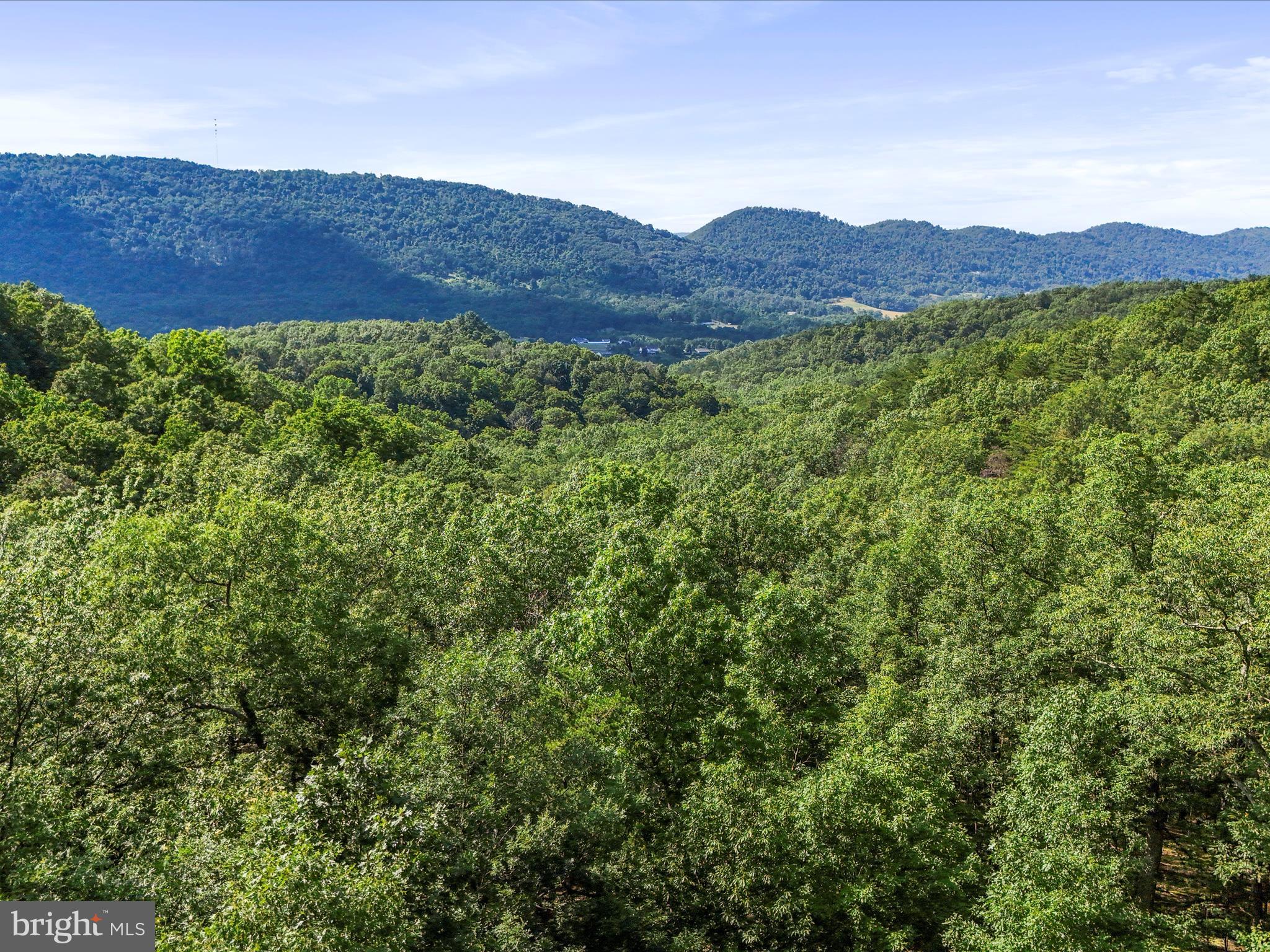 WOODS AT TAYLOR LAKE - Residential