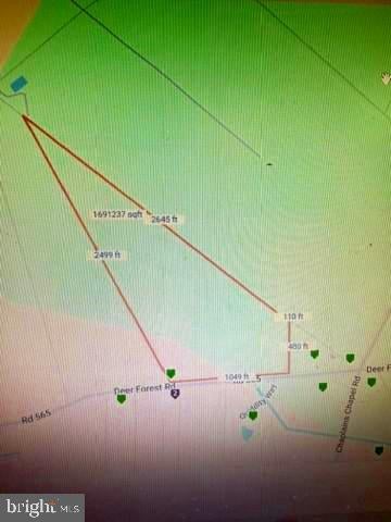 Vacant Land For Sale - Deer Forest<br/> BRIDGEVILLE, DE 19933