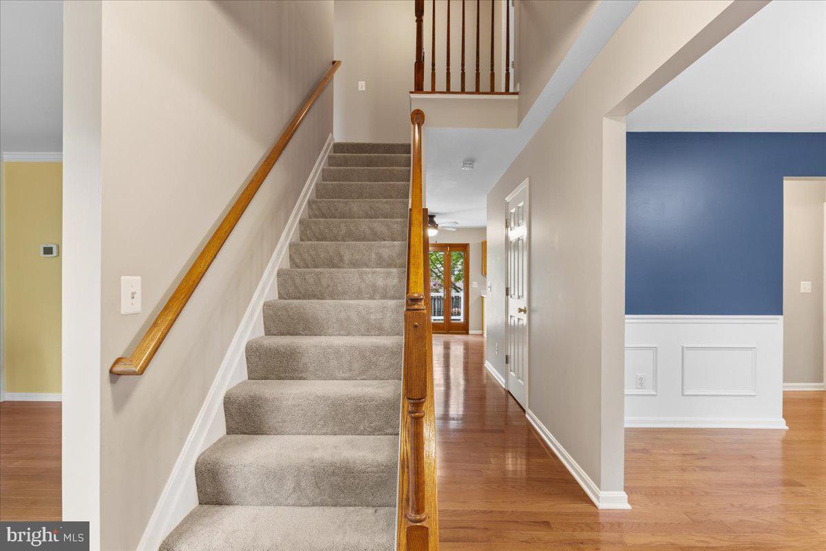 CAPE ST CLAIRE - Residential