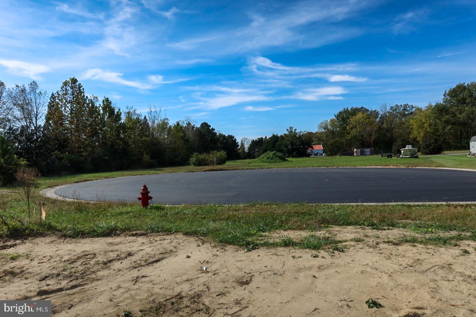 THE CROSSINGS AT EAST NEW MARKET - Residential