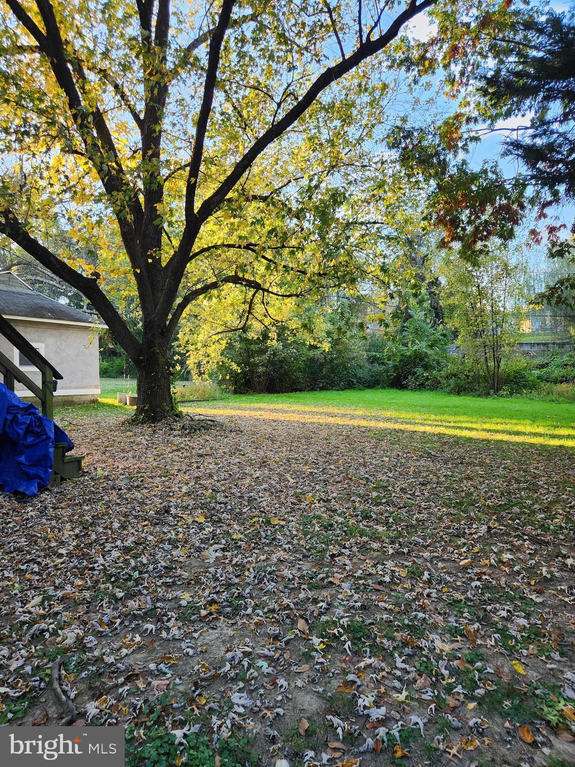 EDGEWOOD PARK - Residential