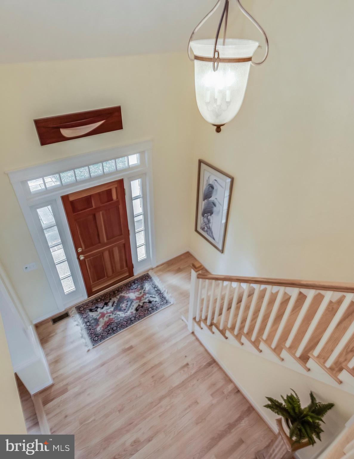 SAEFERN - Residential