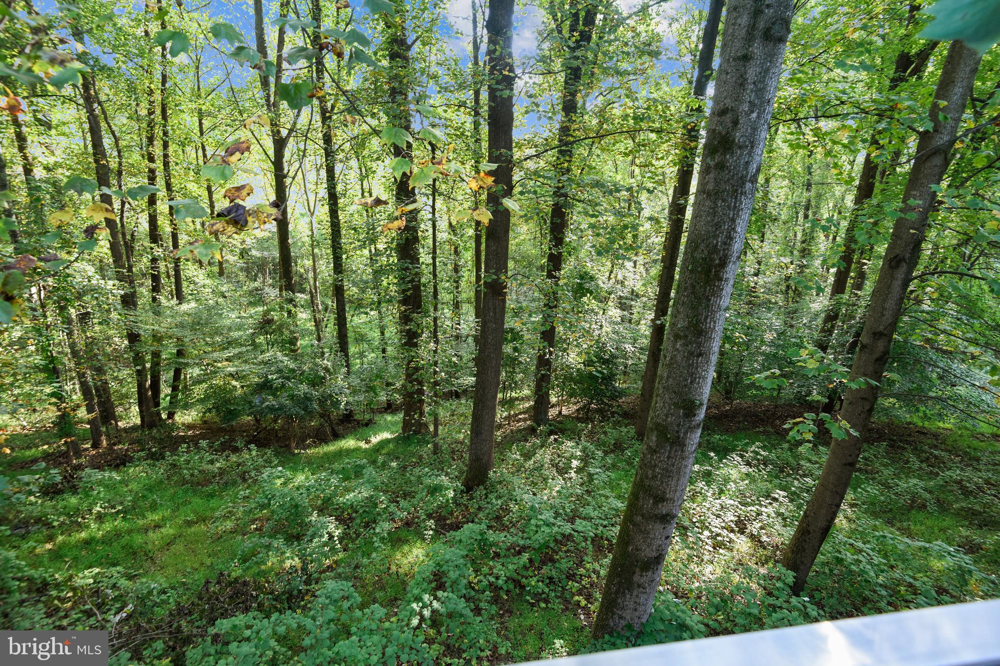 BRYARTON - Residential