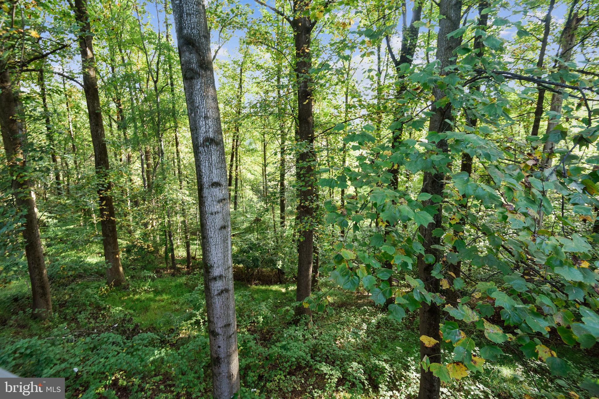 BRYARTON - Residential