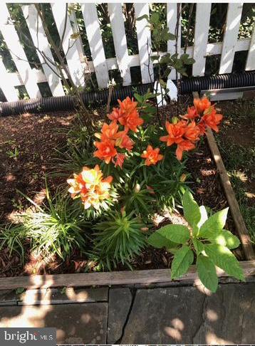 GEORGETOWN SOUTH - Residential