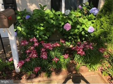 GEORGETOWN SOUTH - Residential