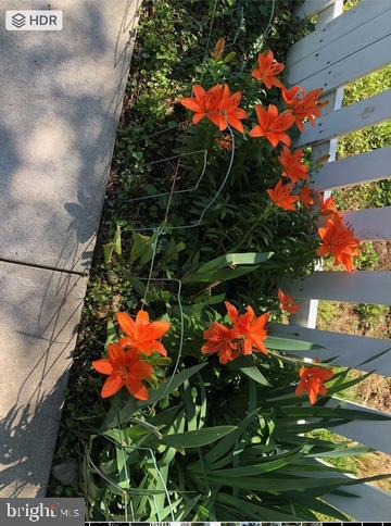 GEORGETOWN SOUTH - Residential