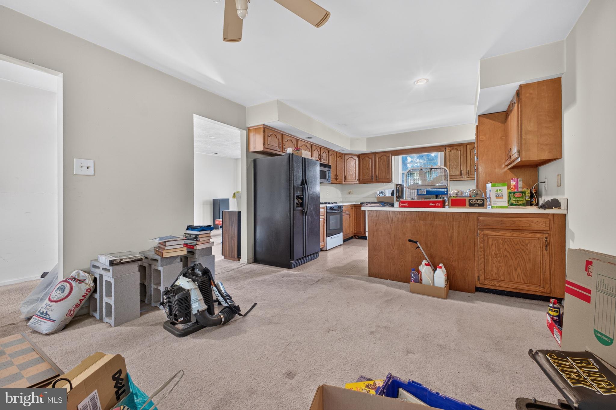 41 SPRUCE LANE