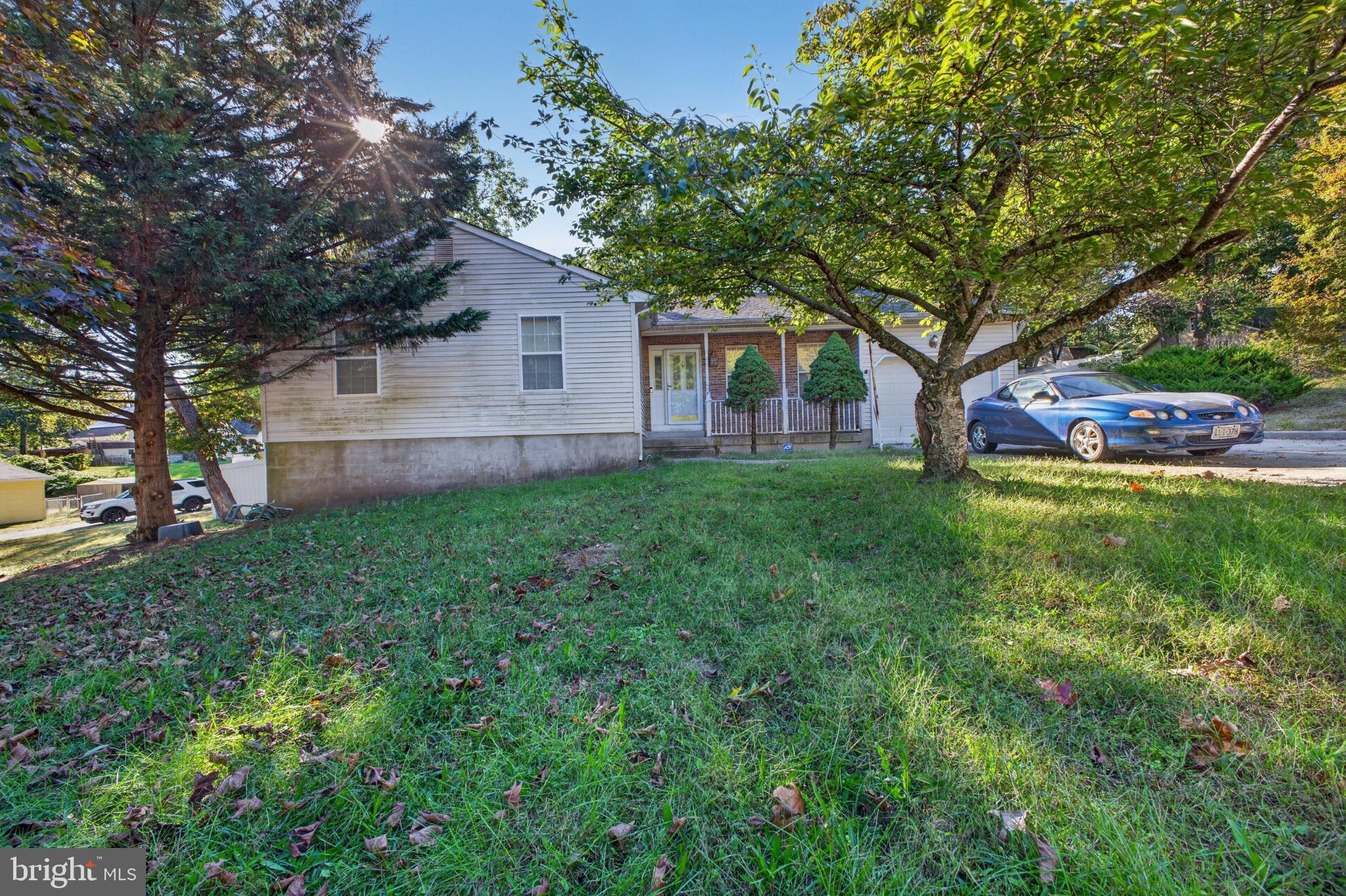 41 SPRUCE LANE