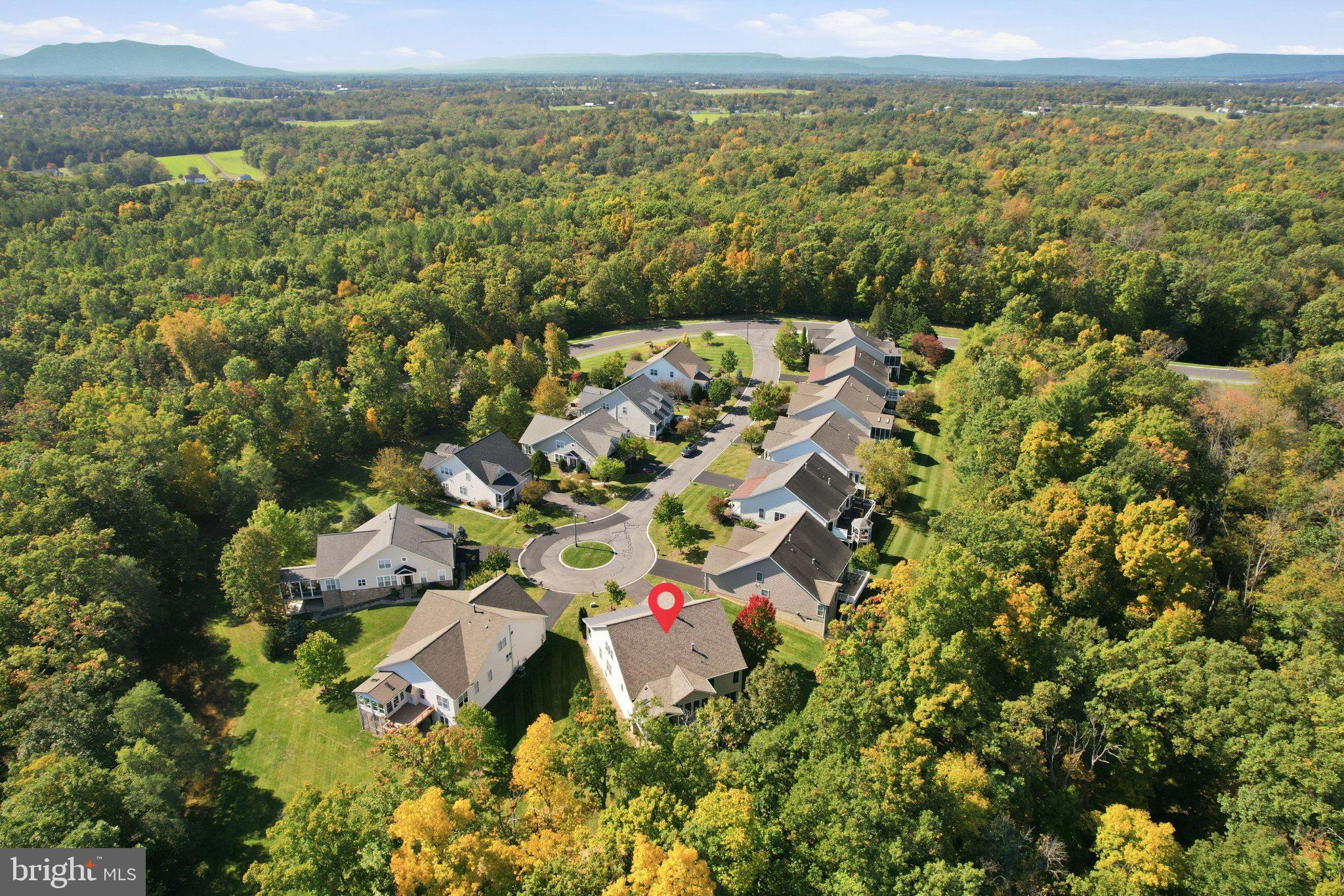 113 MERGANSER COURT