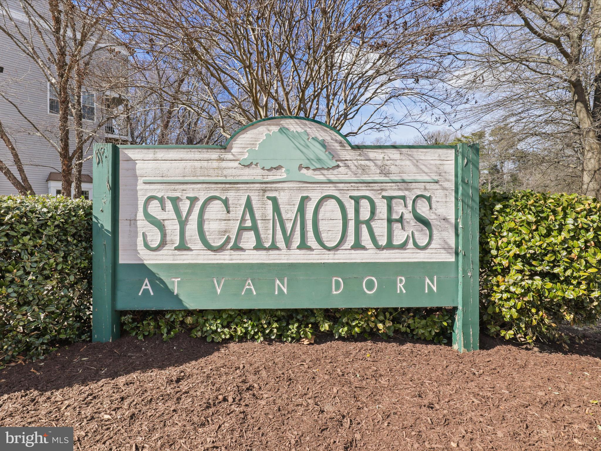 SYCAMORES AT VAN DORN - Residential