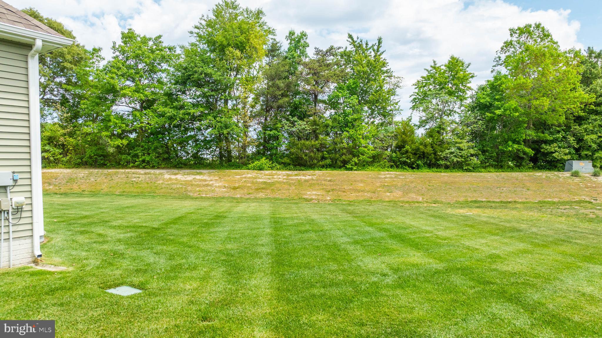 MEADOWS OF BEAVER CREEK - Residential