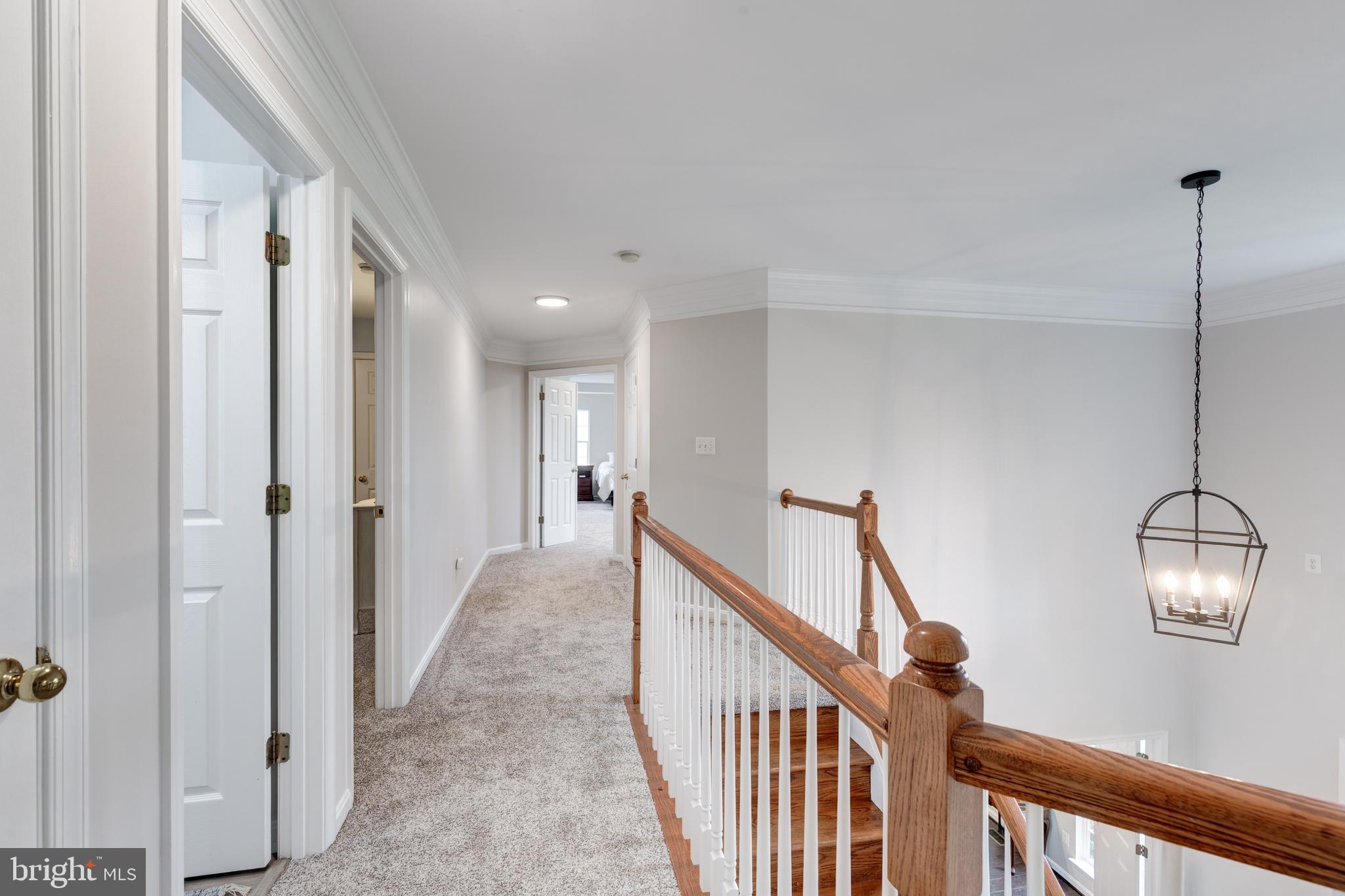SPRUCE MEADOWS - Residential