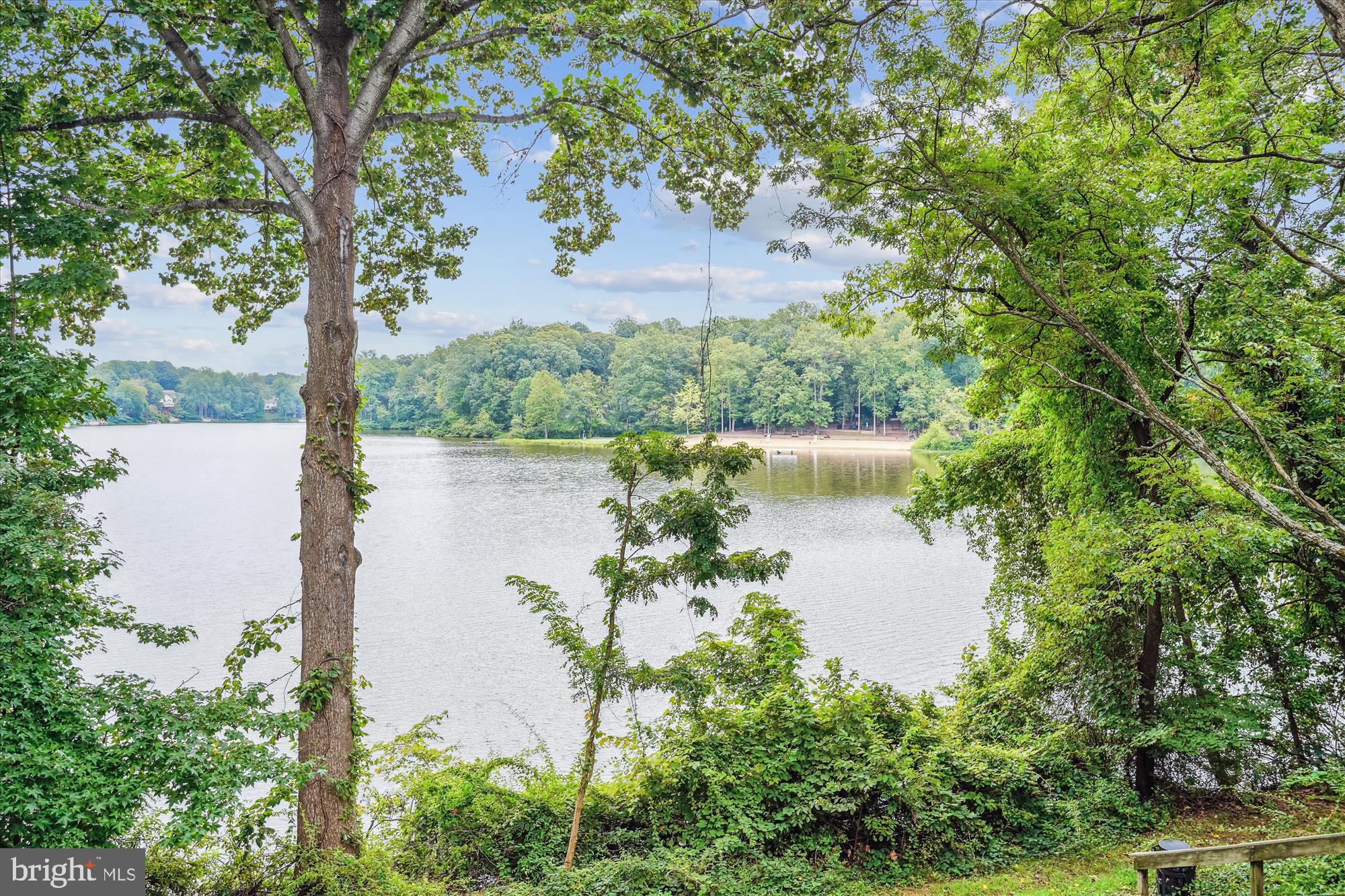 15745 WIDEWATER DRIVE