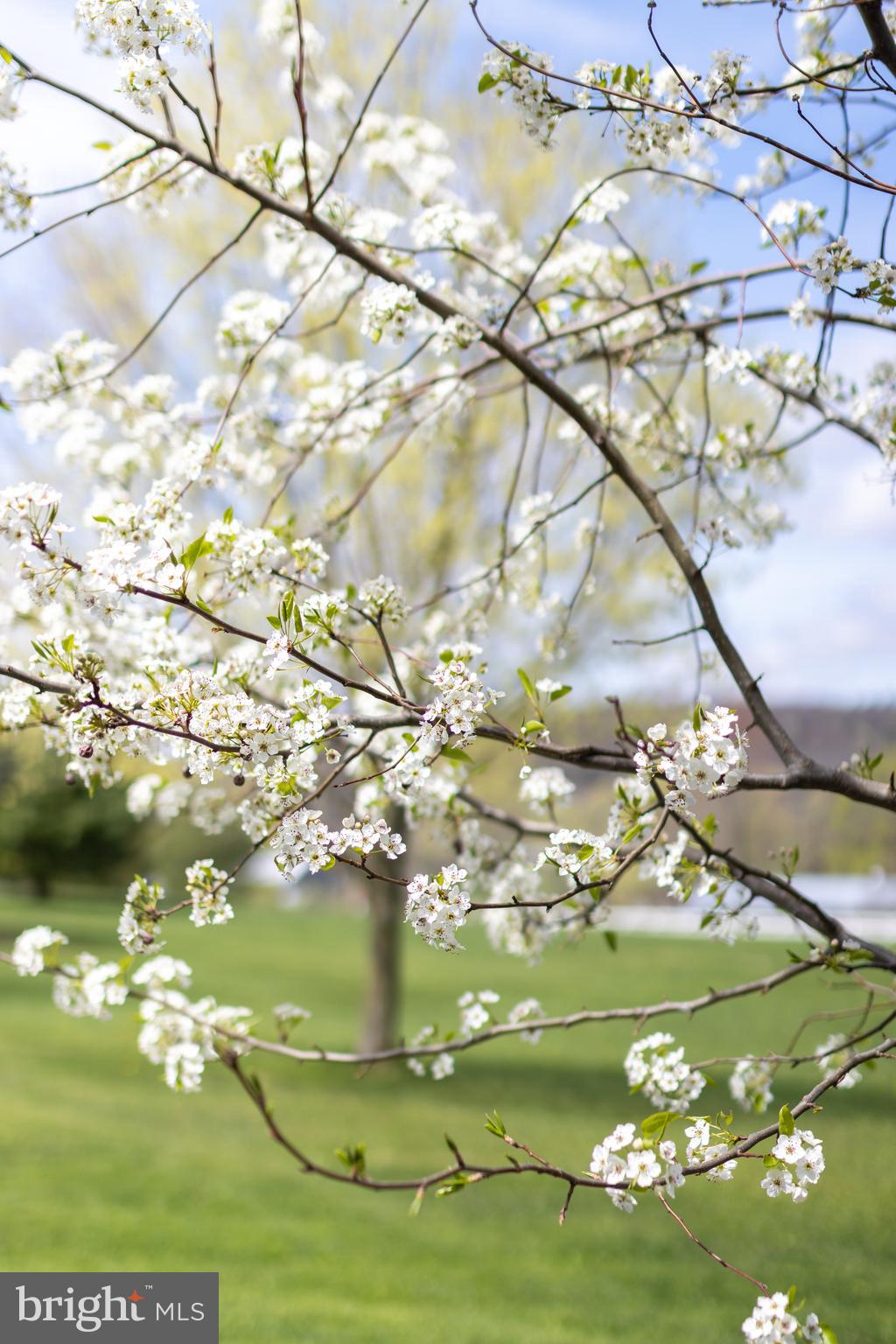 TROTTER FARMS - Residential