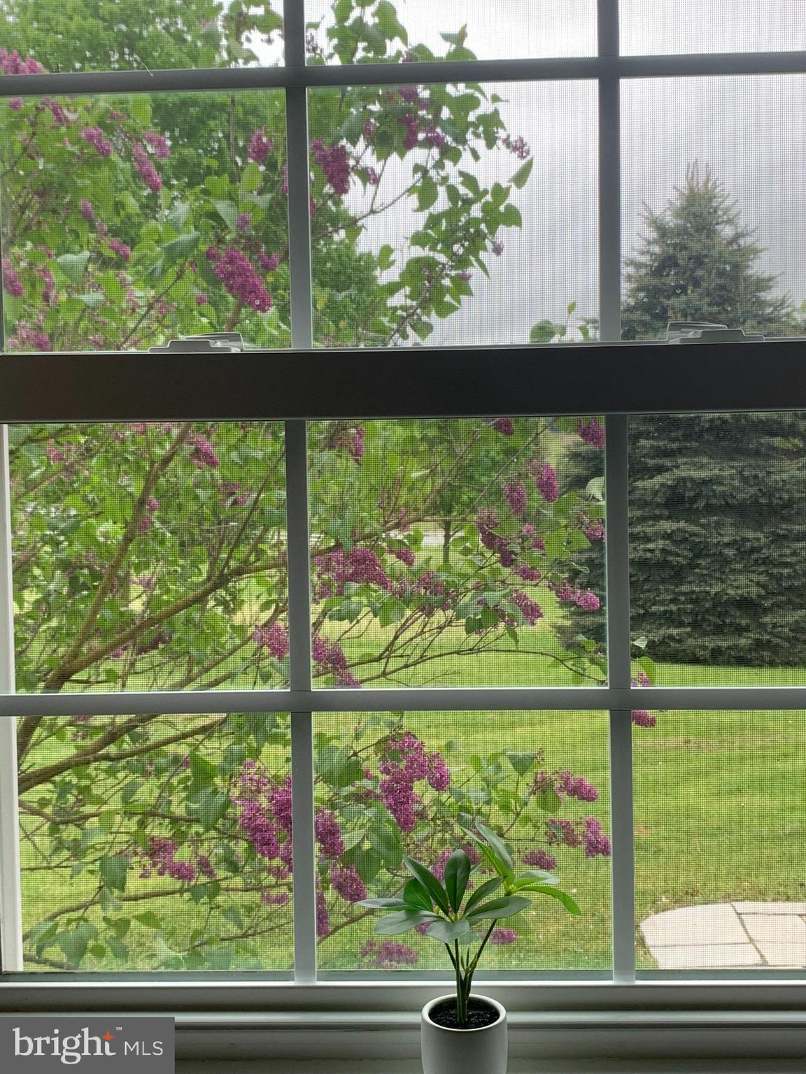 TROTTER FARMS - Residential