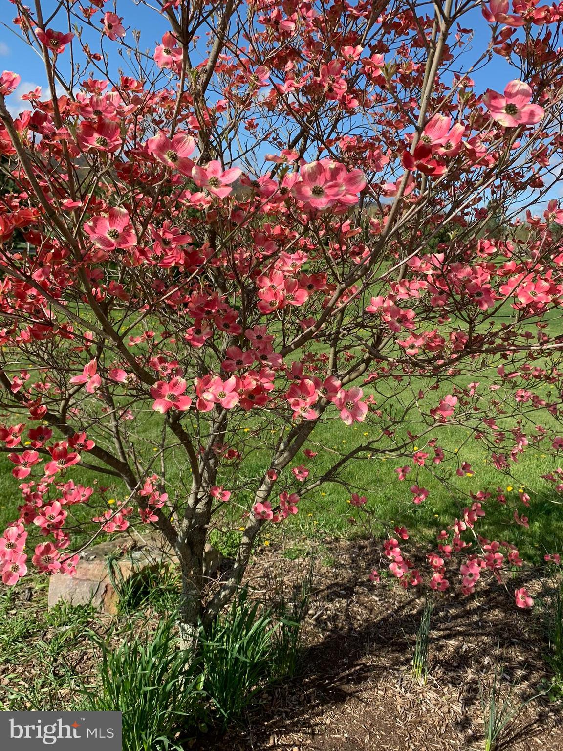 TROTTER FARMS - Residential