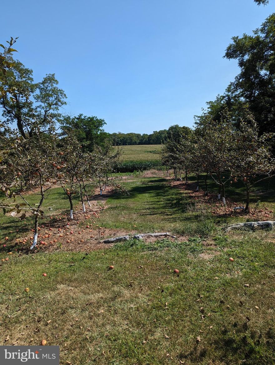 Lot 2, 50 Ridge Drive, Carlisle, PA - 8 estate lot subdivision in Cumberland Valley Schools.  Beautiful large building sites in a lovely rural setting yet close to everything that you need: shopping, I81, schools.  Between Mechanicsburg and Carlisle.  All lots approved and ready for you to build your dream home.  No builder restriction.  Plans and covenants are in associated documents.  Seller is a  licensed real estate broker in the state of Pennsylvania.  Well is "as is".