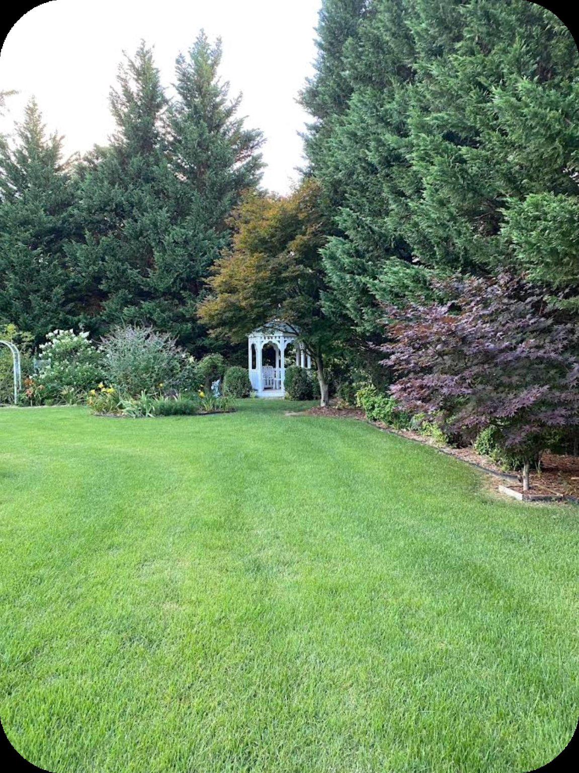 HOPKINS MEAD - Residential