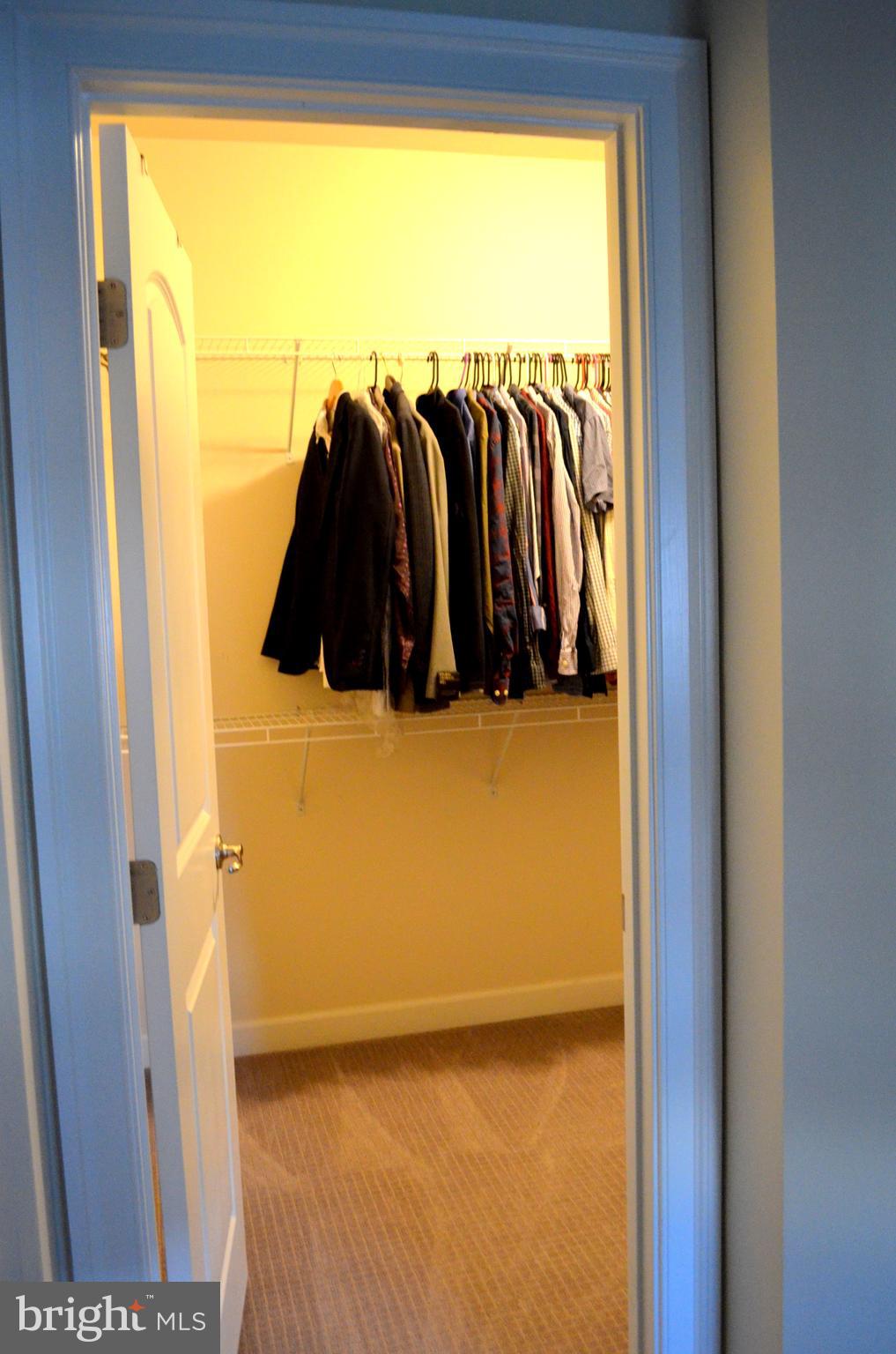 AVONLEA - Residential Lease