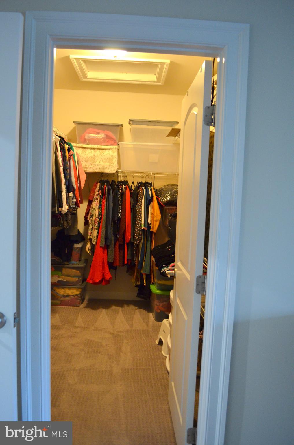 AVONLEA - Residential Lease