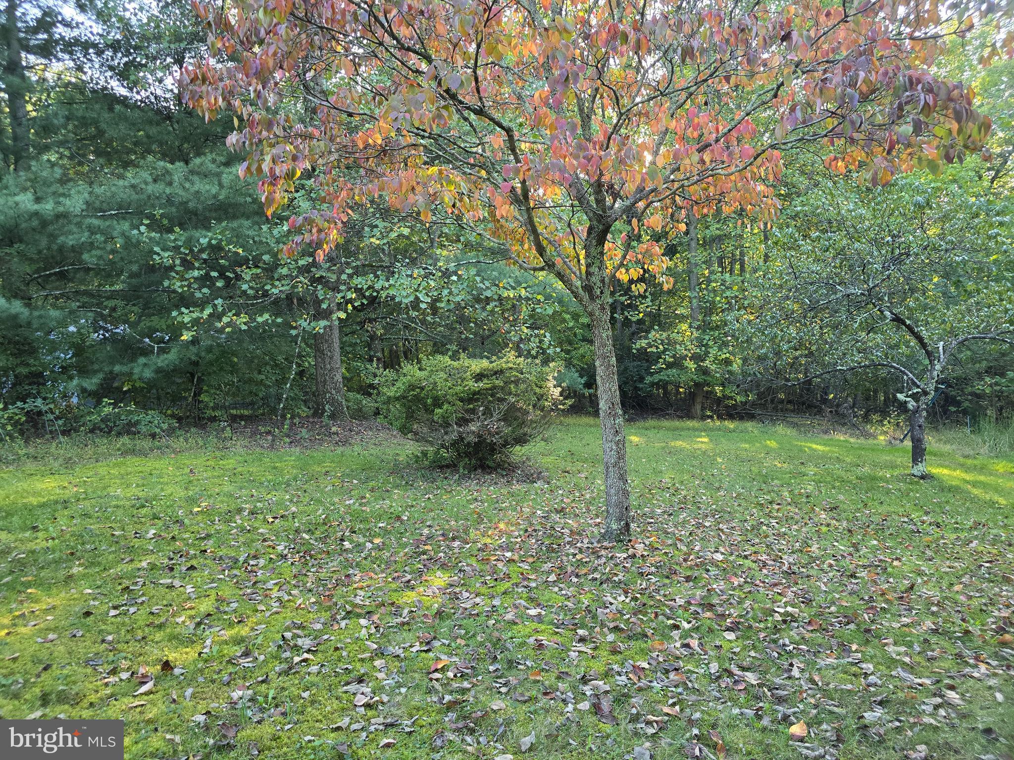 TIMBER RIDGE ESTATES - Residential