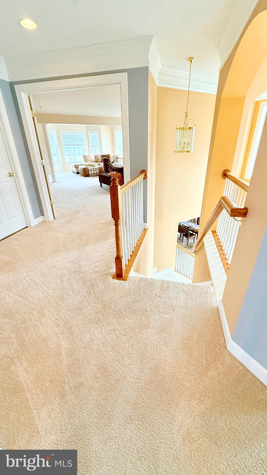 WASHINGTON OVERLOOK - Residential