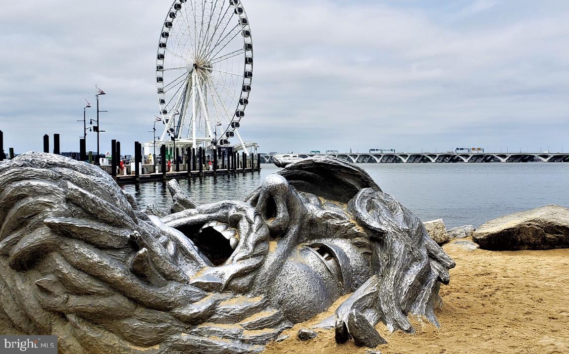 WASHINGTON OVERLOOK - Residential