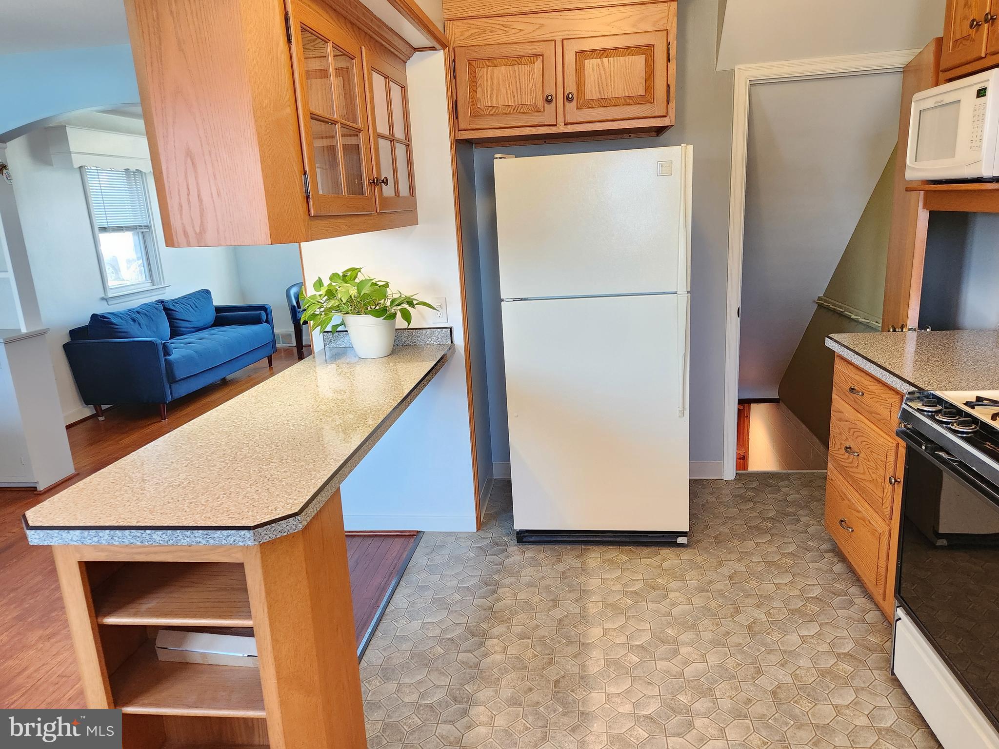 PROSPECT HEIGHTS - Residential