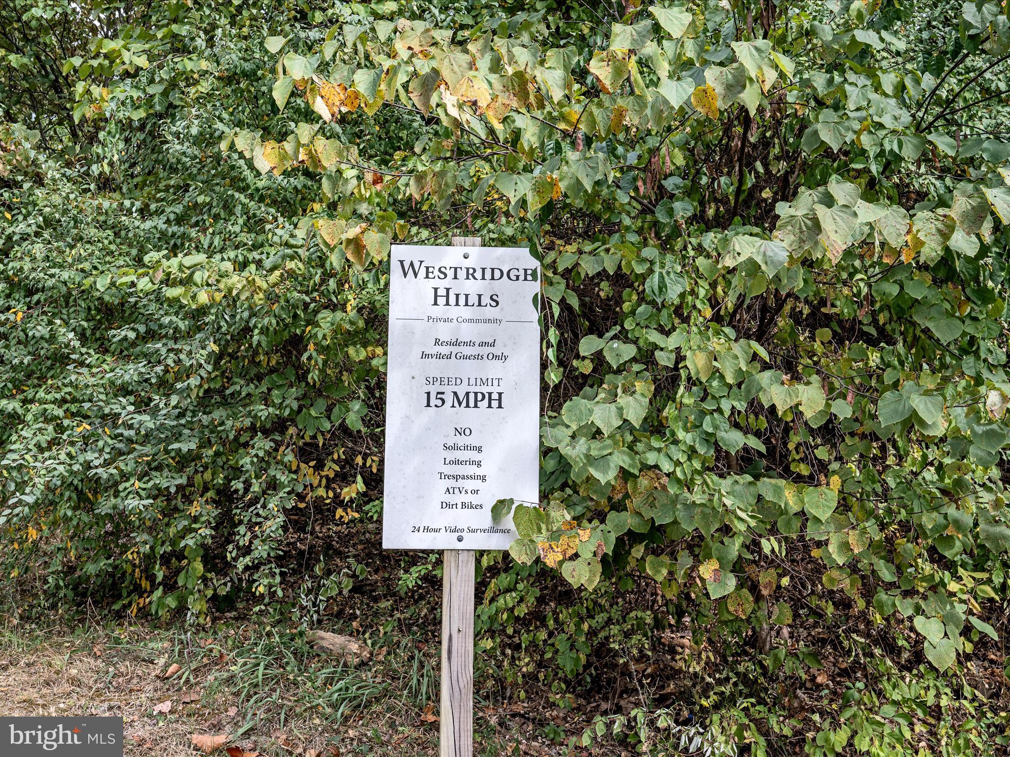 WESTRIDGE HILLS - Land