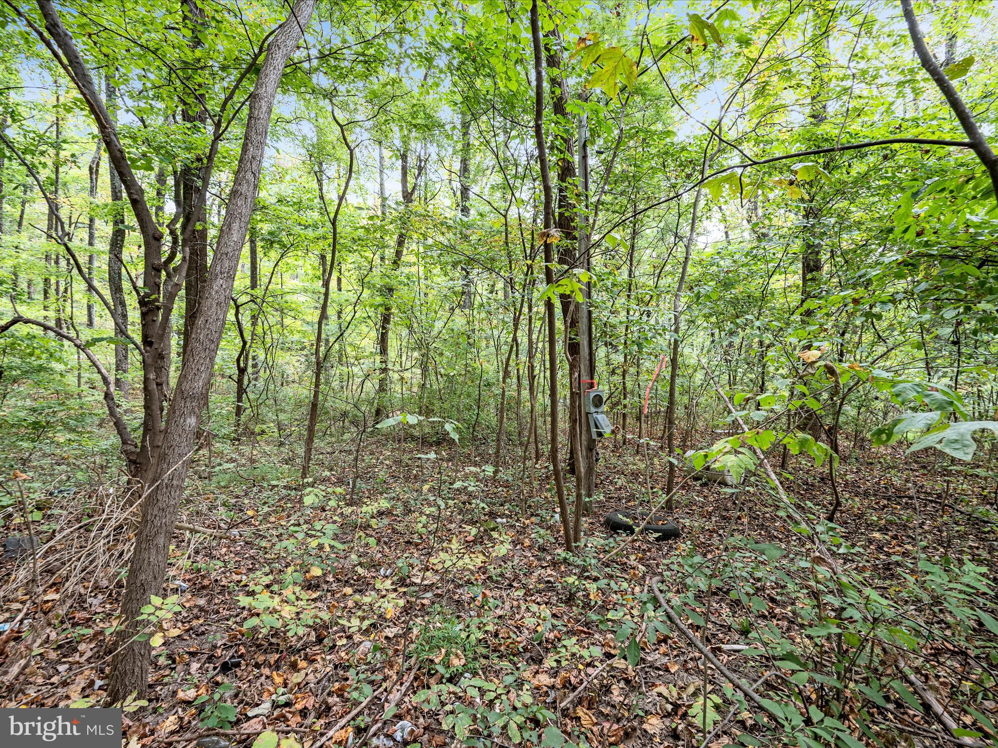 WESTRIDGE HILLS - Land