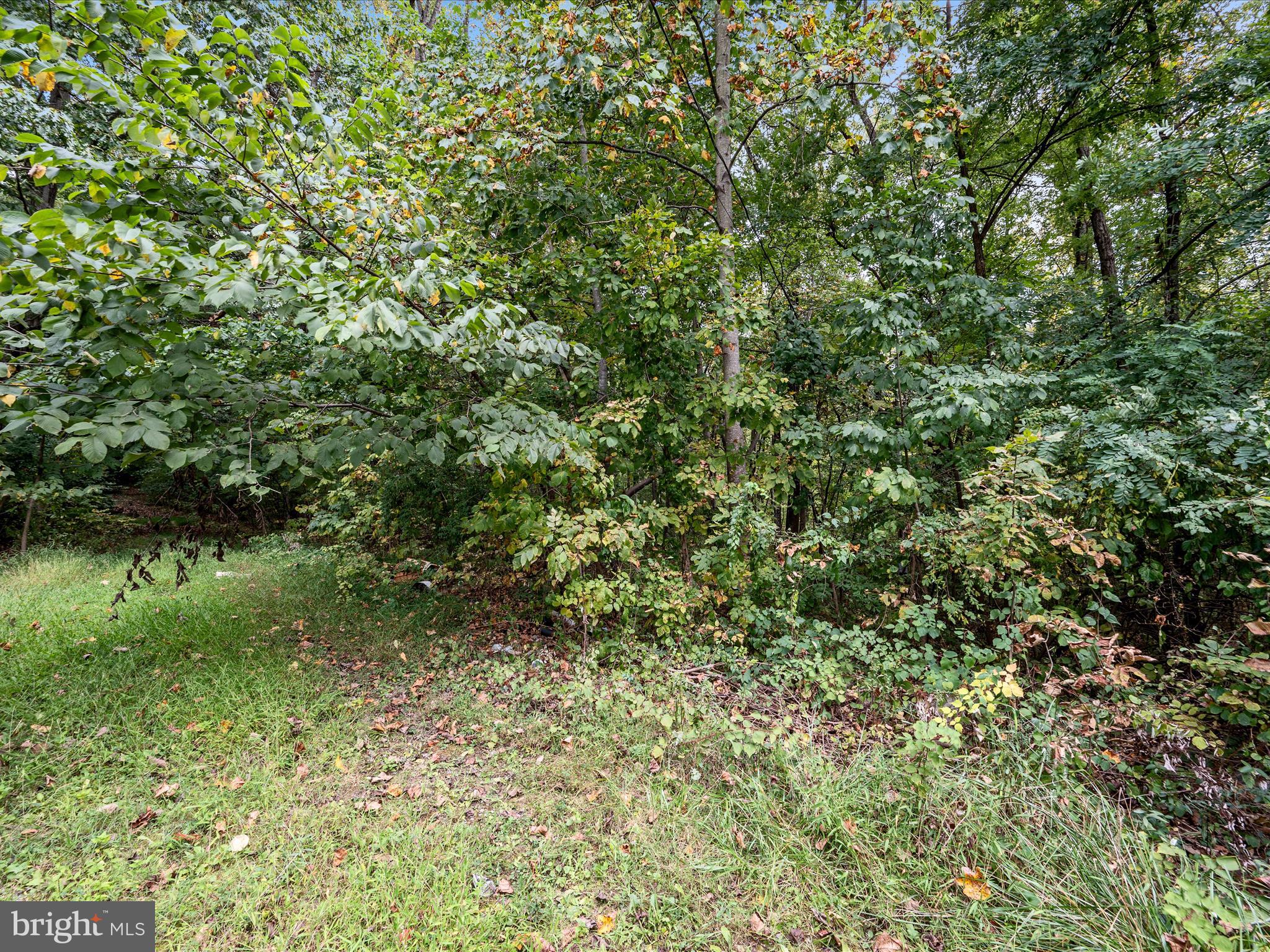 WESTRIDGE HILLS - Land