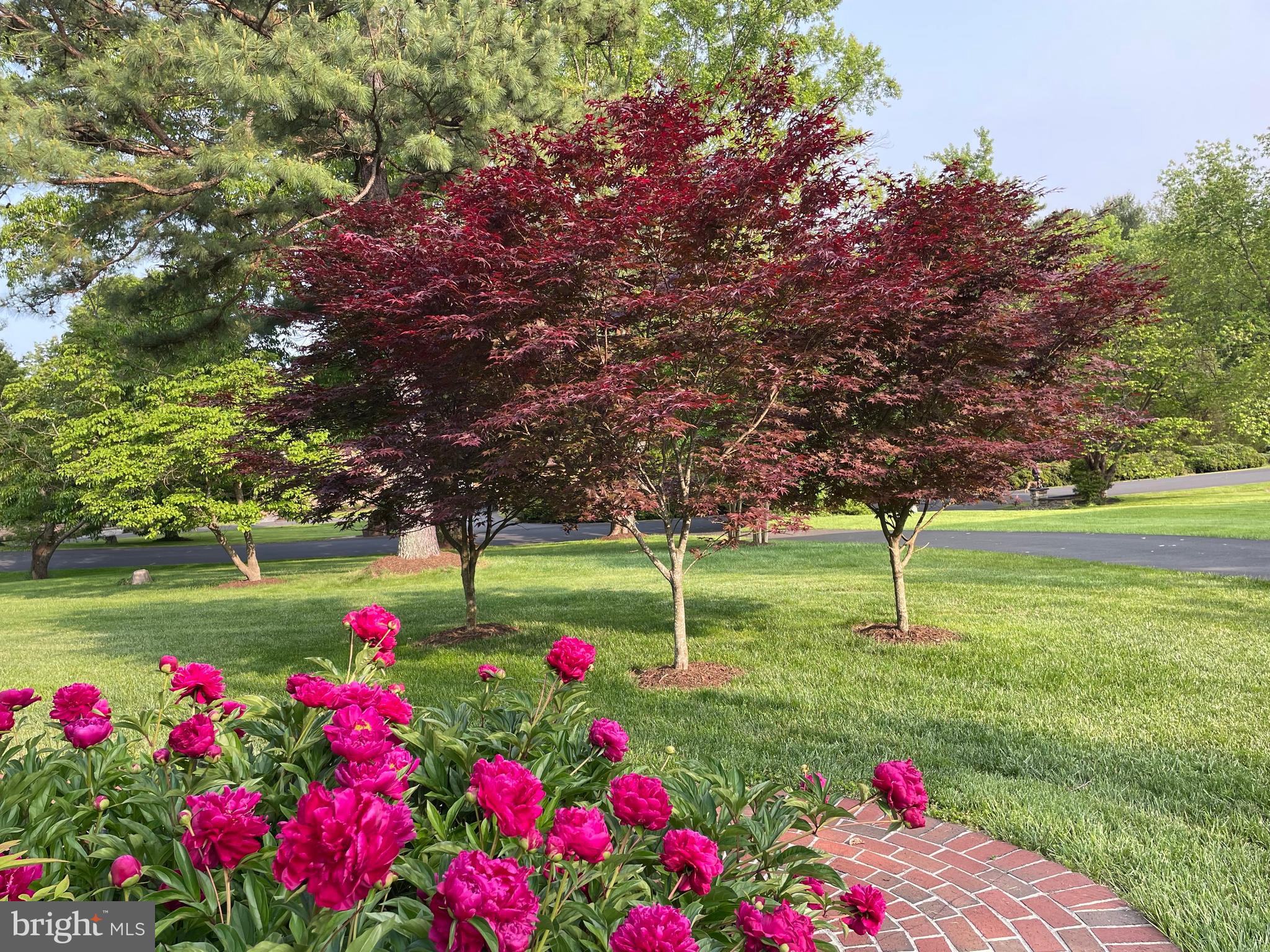 FOX LAKE - Residential